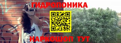 гидропоника Пенза
