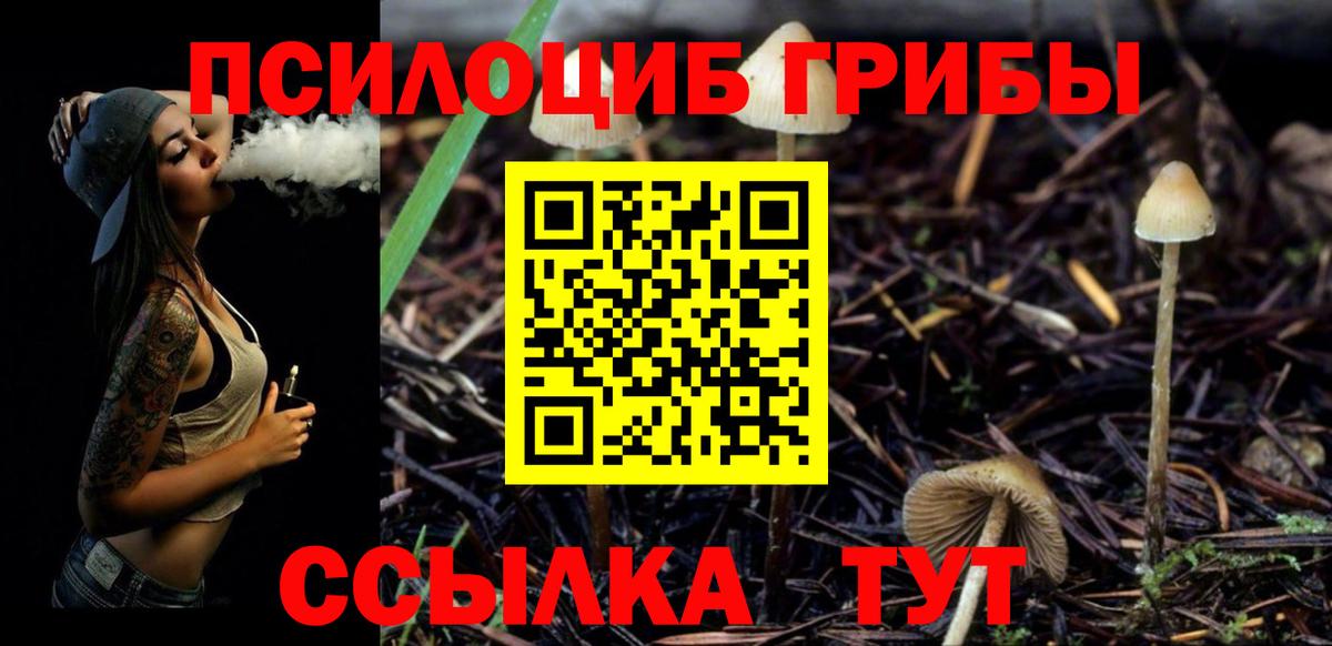 Псилоцибиновые грибы ЛСД Можга