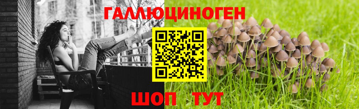 Можга  Галлюциногенные грибы ЛСД  где найти наркотики  Псилоцибиновые грибы мухоморы  Вход с VPN 